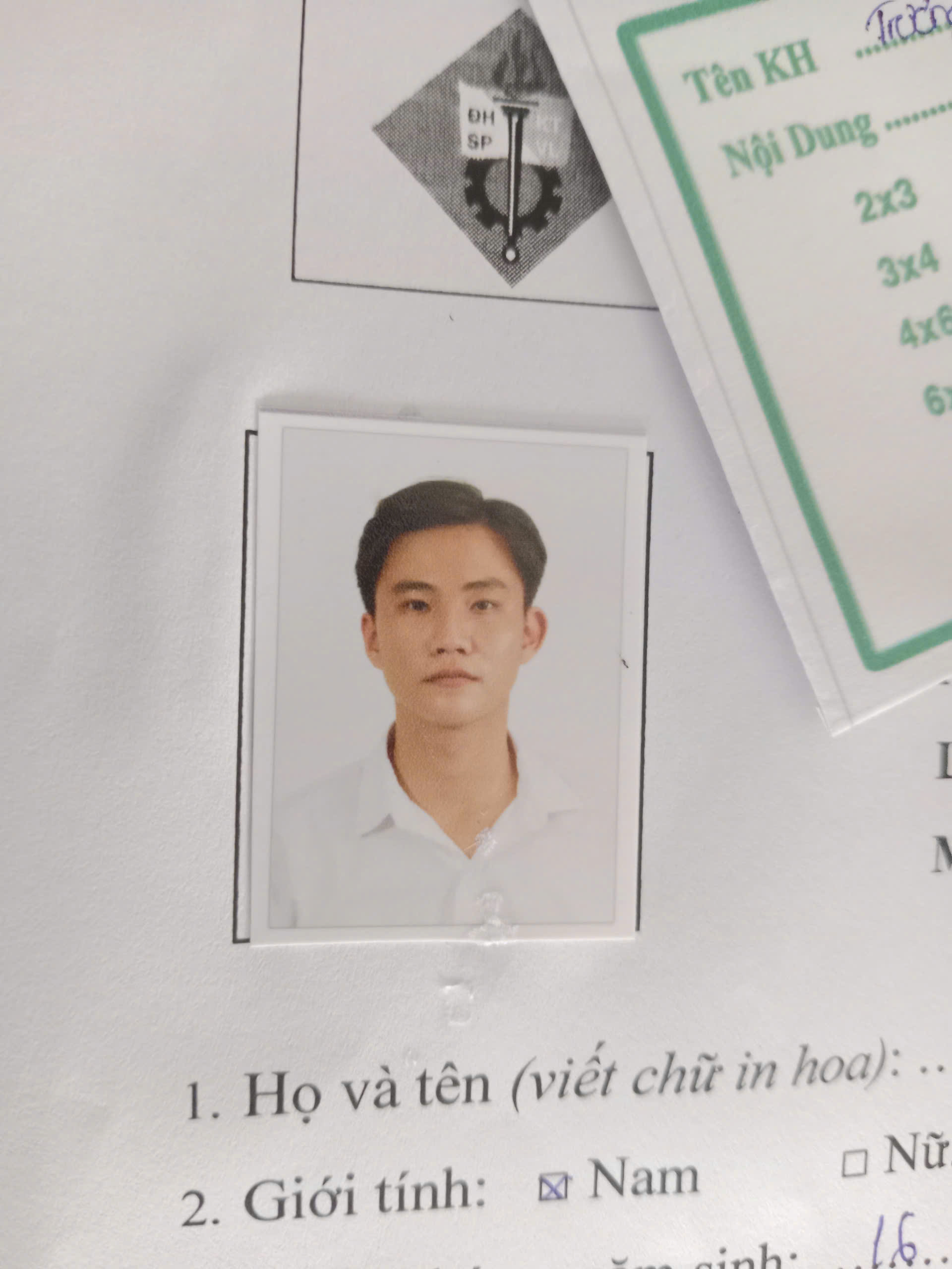 Tại sao phải triệt sản chó mèo