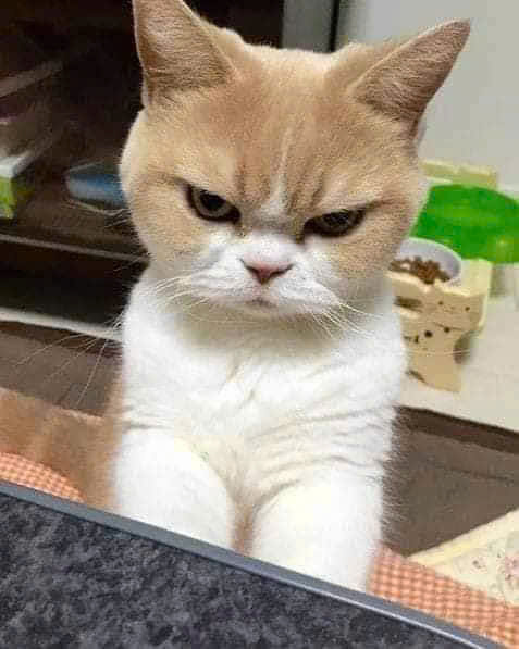 Bé Hương Và Hành Trình Làm Quen Với Ngôi Nhà Mới